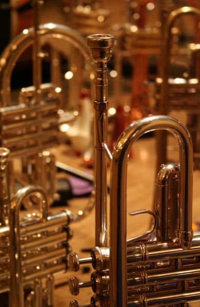 390px-Trumpets02262006